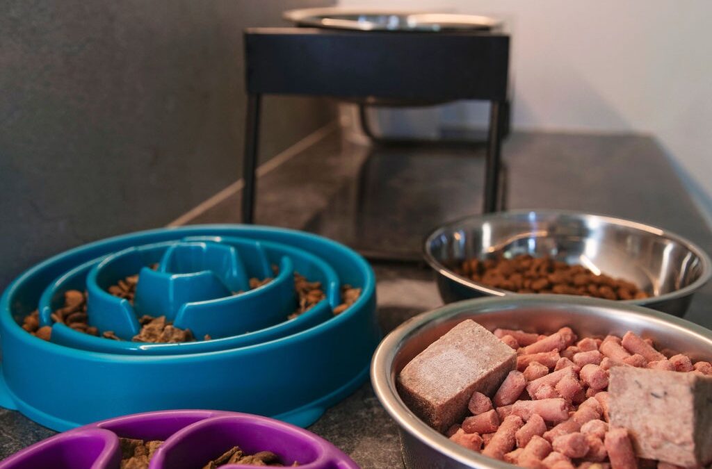 What to Bring for Your Dog’s Stay at McKenzie Manor